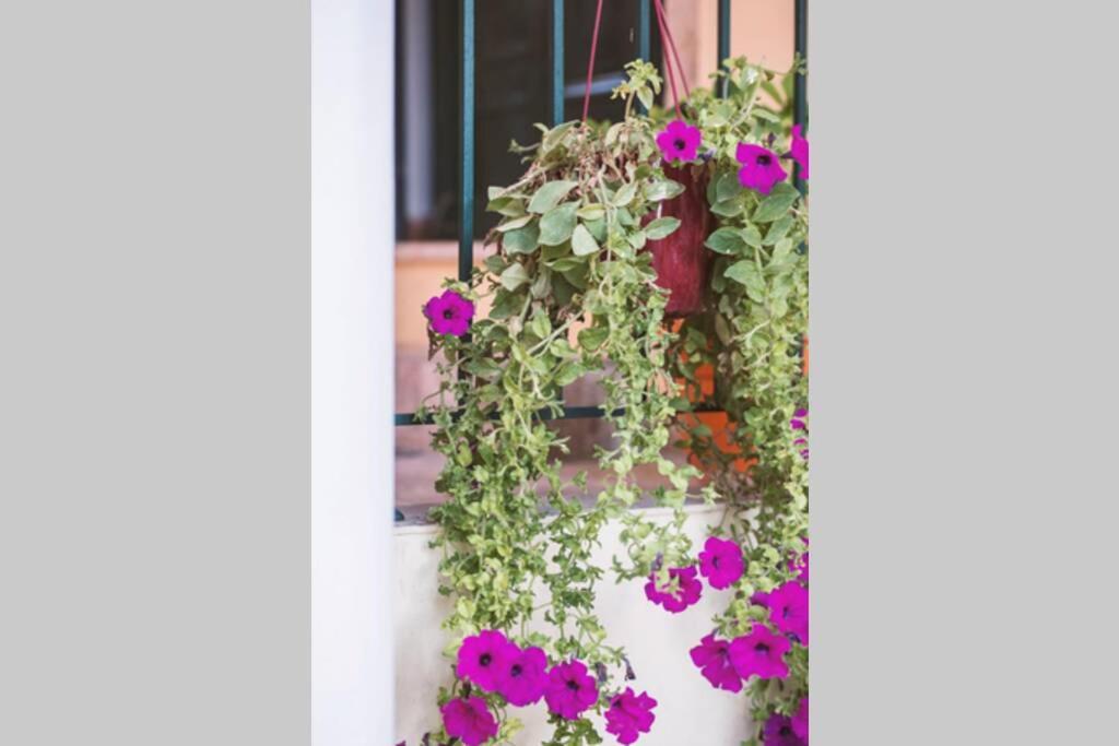 Spiti Maria Apartment Valanio Luaran gambar